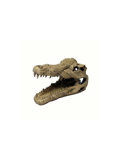 Trixie dekoracija didelė krokodilo kaukolė 14 cm