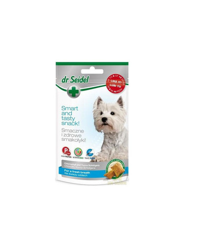 DR SEIDEL Pamlsky na svěží dech 90 g