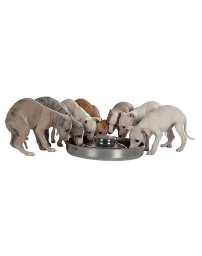 Trixie dubenėlis šuniukams 1.4 l / 29 cm