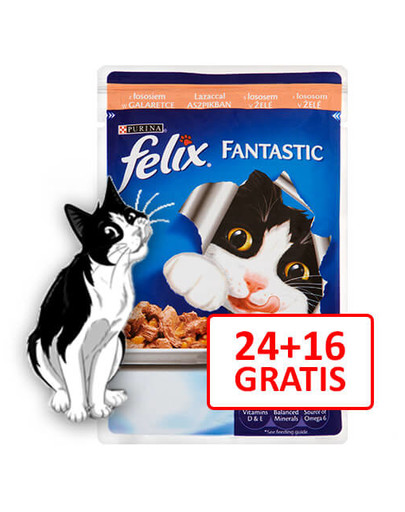 FELIX Fantastic Z Łososiem 100g 24 + 16 Gratis