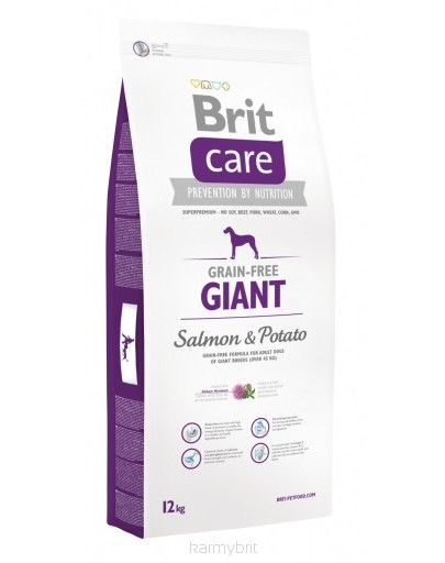 BRIT Care Dog Grain-Free Giant Salmon&Potato 1kg