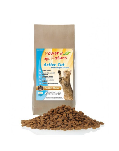 POWER OF NATURE Active Cat Cookie's Choice Kurczak Brązowy Ryż 2 kg