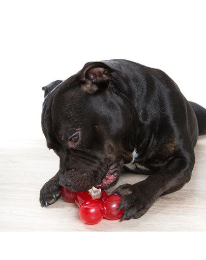 Comfy žaislas Strong Dog Bone 16,5 cm