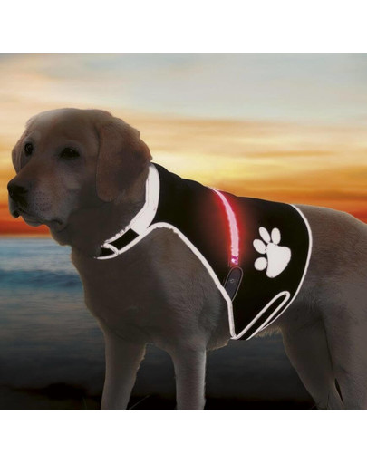 Trixie šviesą atspindinti liemenė Flash USB, M: 42–62 cm