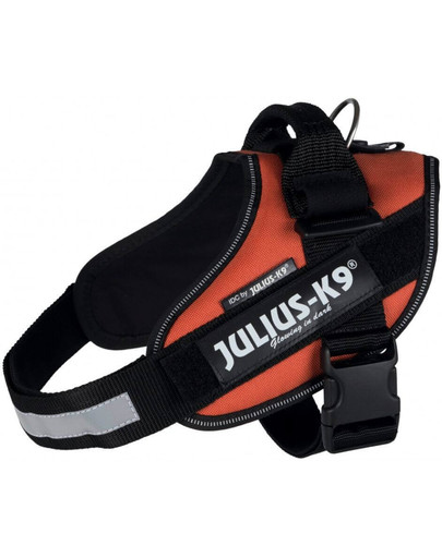 Trixie petnešos Julius-K9 Idc 4 / XL 96–138 cm / 50 mm