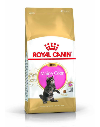 Royal Canin Kitten Maine Coon 4 kg