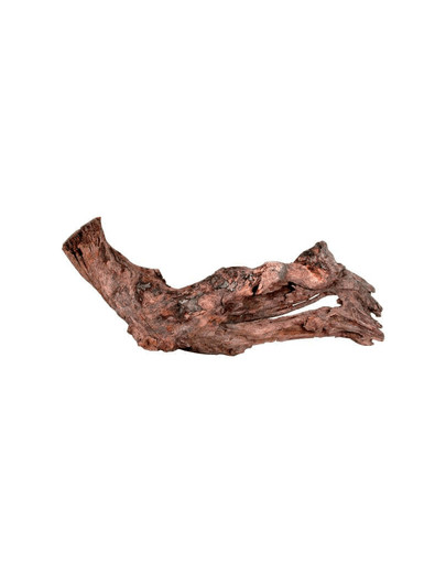 Zolux dekoracija šaknis Mangrovė 25-40 cm