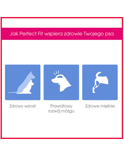 Perfect Fit Junior (< 1 metai) ėdalas praturtintas vištiena vidutinių ir didelių veislių šunims 4 X 1.4 kg