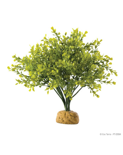 Exo Terra Boxwood Bush dirbtinis augalas