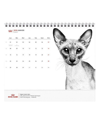 ROYAL CANIN Kalendārs