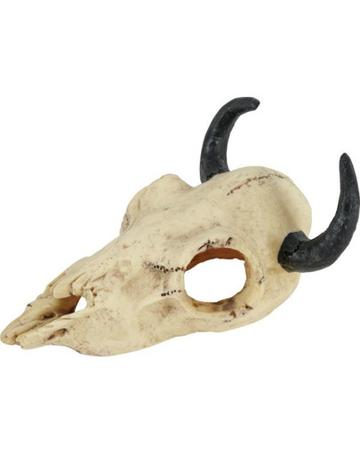 ZOLUX dekoracija dinozauro kaukolė modelis 1