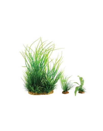 ZOLUX Plantkit Wiha dekoracijos augalų rinkinys modelis 1