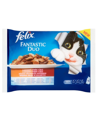 FELIX Fantastic Duo with Meat 4x100 g