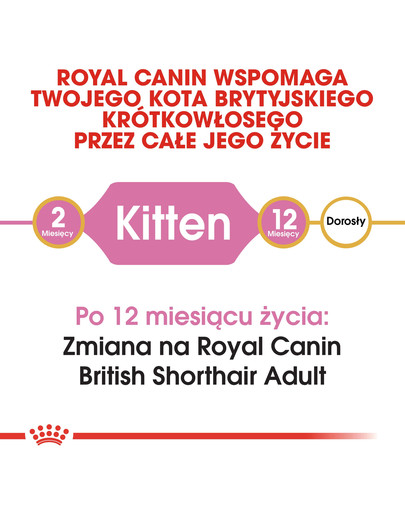 Royal Canin Kitten British Shorthair 10 kg