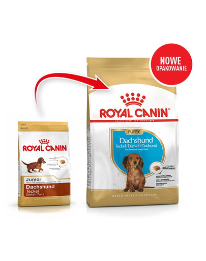 Royal Canin Dachshund Junior 1,5 kg