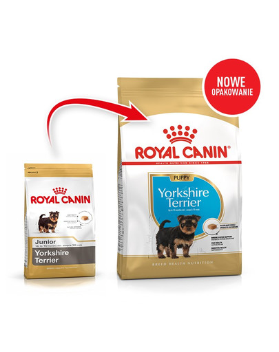 Royal Canin Yorkshire Terrier Junior 0,5 kg