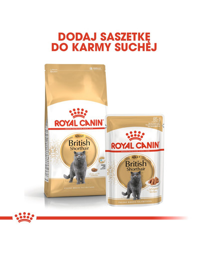 Royal Canin British Shorthair 85 g maišeliai 6 X 85 g
