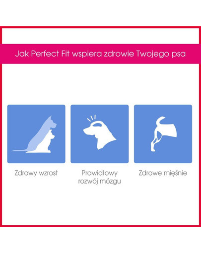 Perfect Fit Junior (< 1 metai) ėdalas praturtintas vištiena vidutinių ir didelių veislių šunims 1.4 kg