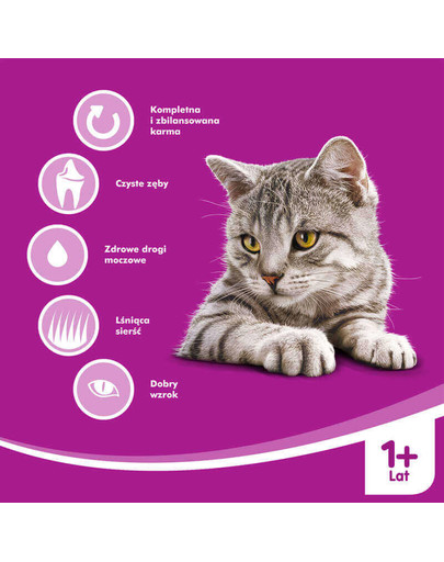 WHISKAS Adult hovězí 1.4kg