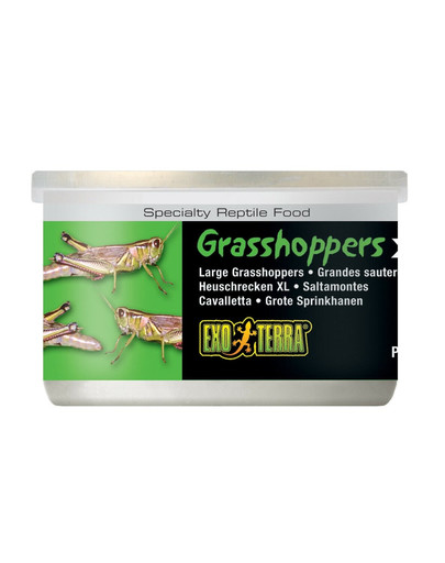 EXO TERRA Grasshoppers konservuoti žiogai XL 34 g