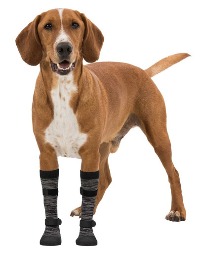 TRIXIE Walker Socks apsauginės kojinės , L, 2vnt.
