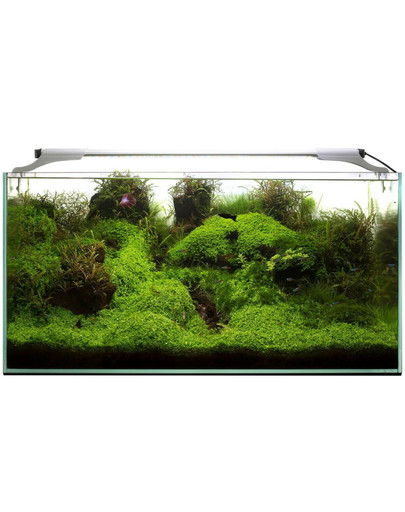 Aquael Leddy Slim 10W Sunny 50-70 cm LED šviestuvas akvariumui