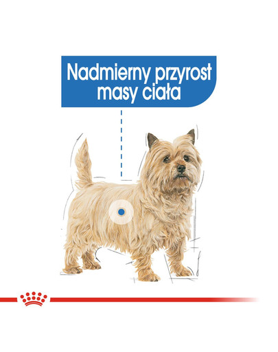 ROYAL CANIN Light Weight Care konservai 85 g