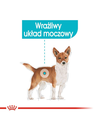 ROYAL CANIN Urinary Care konservai 85 g