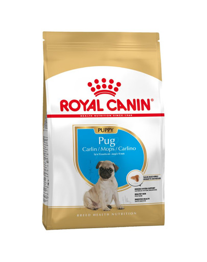 ROYAL CANIN Pug Puppy 1,5 kg sausā barība kucēniem līdz 12 mēnešu vecumam, mopšiem