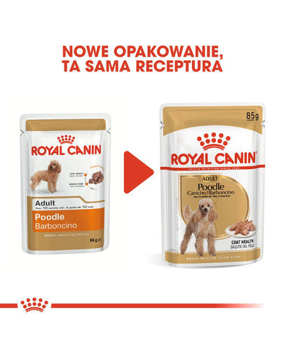 ROYAL CANIN Poodle Adult in Sobe 85 g šlapias šunų maistas suaugusiems šunims, pudeliams