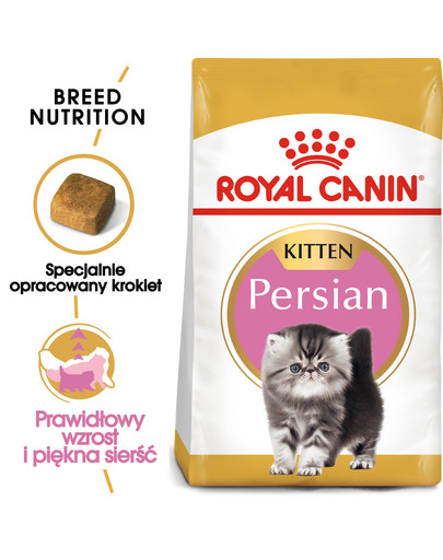 ROYAL CANIN Kitten persian 4 kg sausā barība kaķiem līdz 12 mēnešu vecumam, persiešiem
