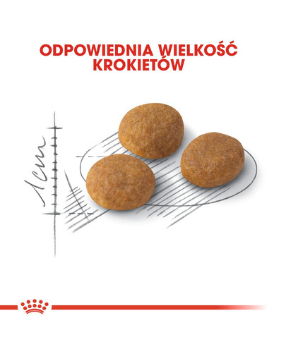 ROYAL CANIN Exigent Aromatic Attraction 33 sausā barība pieaugušiem, izvēlīgiem kaķiem, ar smaržu 4 kg