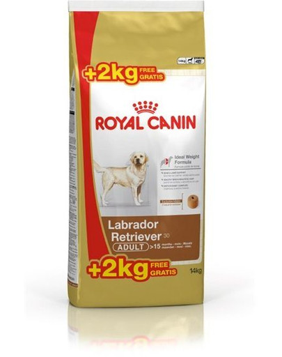 ROYAL CANIN Labrador retriever adult 12 kg + 2 kg gratis!