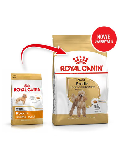 ROYAL CANIN Poodle adult 0,5 kg sausā barība pieaugušiem suņiem, miniatūrajiem pūdeļiem