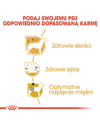 ROYAL CANIN Poodle adult 3 kg sausā barība pieaugušiem miniatūrajiem pūdeļiem