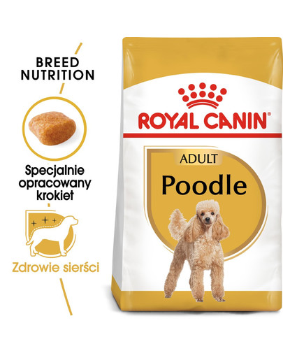 ROYAL CANIN Poodle adult 0,5 kg sausā barība pieaugušiem suņiem, miniatūrajiem pūdeļiem