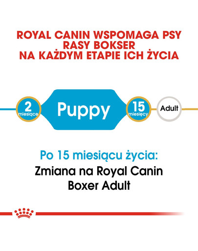 ROYAL CANIN Boxer junior 3 kg sausā barība kucēniem līdz 15 mēnešu vecumam, bokseru šķirnei
