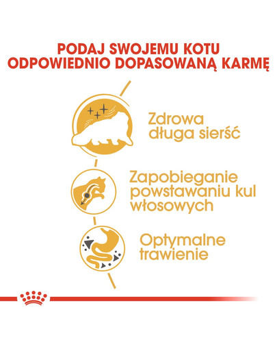 ROYAL CANIN Persian 10 kg + 2 kg dāvanā