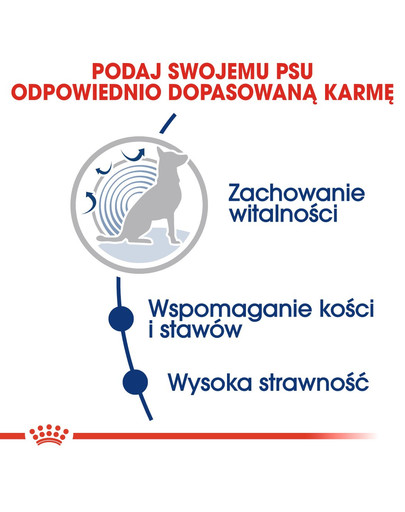 ROYAL CANIN Maxi ageing 8+ 3 kg sausā barība pieaugušiem suņiem no 8 gadu vecuma, lielām šķirnēm