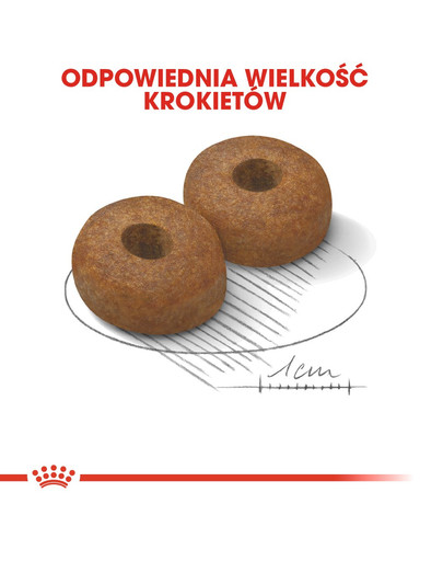 ROYAL CANIN Maxi ageing 8+ 3 kg sausā barība pieaugušiem suņiem no 8 gadu vecuma, lielām šķirnēm