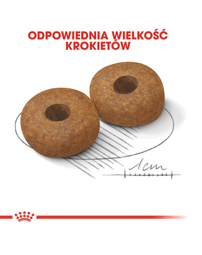 ROYAL CANIN Medium Ageing 10+ 3 kg sausā barība pieaugušiem suņiem, vecākiem par 10 gadiem, vidējām šķirnēm