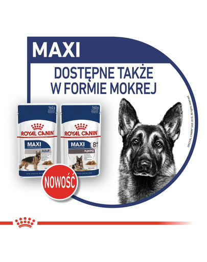 ROYAL CANIN Maxi ageing 8+ 3 kg sausā barība pieaugušiem suņiem no 8 gadu vecuma, lielām šķirnēm