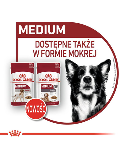 ROYAL CANIN Medium Ageing 10+ 3 kg sausā barība pieaugušiem suņiem, vecākiem par 10 gadiem, vidējām šķirnēm