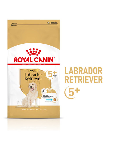 ROYAL CANIN Labrador Retriever Adult 5+ 3 kg sausā barība pieaugušiem Jorkšīras terjeriem, kas vecāki par 5 gadiem