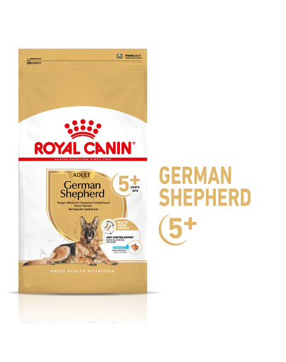 ROYAL CANIN German Shepherd Adult 5+ 3 kg sausā barība pieaugušiem vācu aitu suņiem, kas vecāki par 5 gadiem