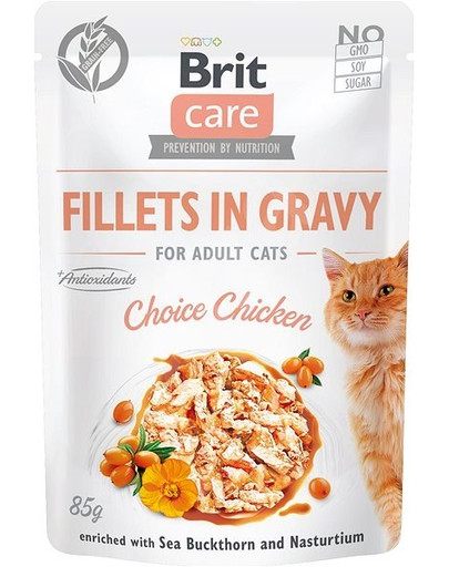 BRIT Care Cat Fillets in gravy 85 g vistas fileja mērcē