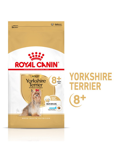 ROYAL CANIN Yorkshire Terrier Adult 8+3 kg sausā barība pieaugušiem Jorkšīras terjeriem, kas vecāki par 8 gadiem