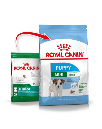ROYAL CANIN Mini Puppy / Junior 8 kg sausā barība kucēniem no 2 līdz 10 mēnešiem, mazām šķirnēm + Mini kucēns 12x85 g