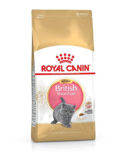 ROYAL CANIN Kitten british shorthair 20 kg (2 x 10 kg) sausas maistas kačiukams, iki 12 mėnesių amžiaus, Britų trumpaplaukių veislei