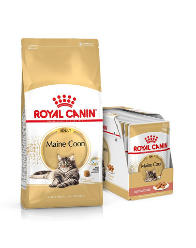 ROYAL CANIN Maine Coon Adult 10 kg + „Mainecoon“ mitrā barība 12x85 g Meinkūniem